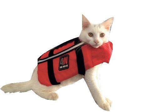 Gilets de sauvetage pour animaux chien et chat navigation maritime Martigues